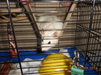 /album/fotogaleria/g-4-jpg/